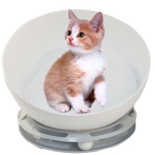 Load image into Gallery viewer, hemispherical orbit cat house
